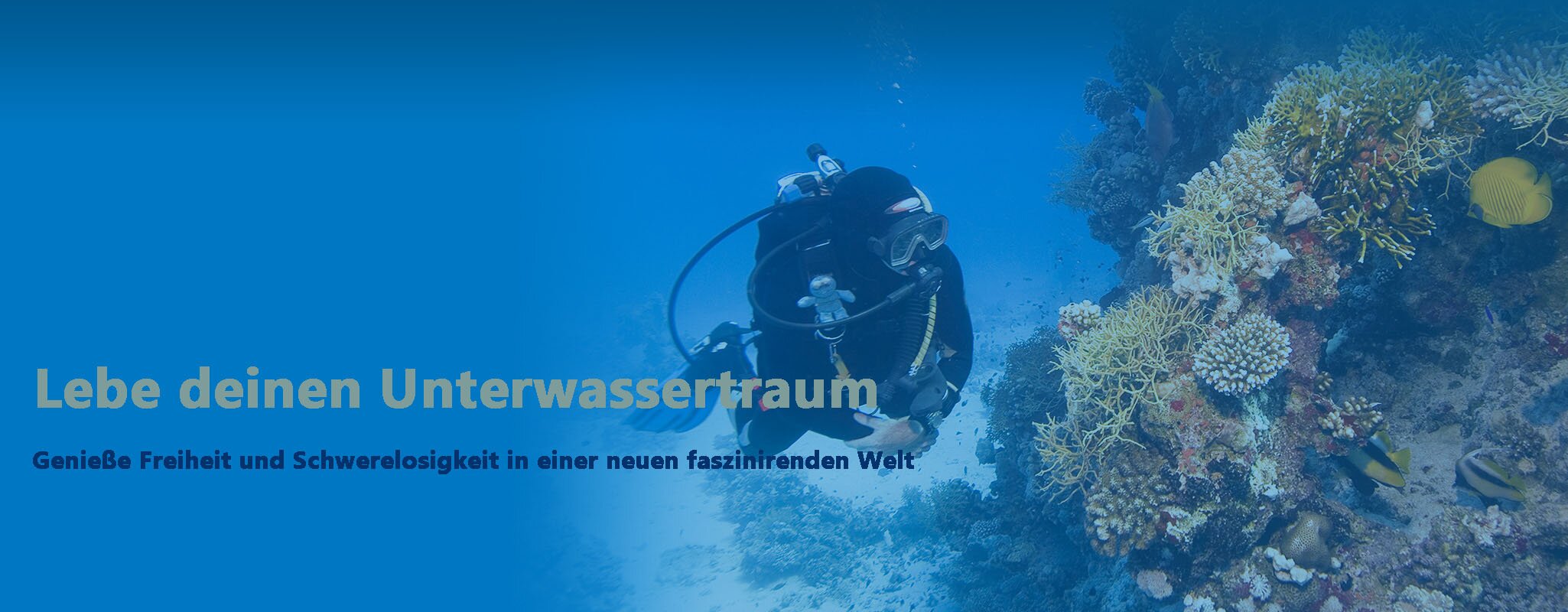Lebe deinen Unterwassertraum Lebe deinen Unterwassertraum - Tauchschule in Nürnberg